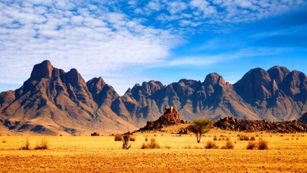 Africa