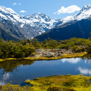 New-Zealand